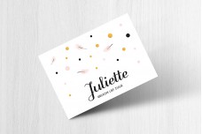 Bolletjes en veertjes
